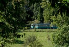 fraud detection compliance bureau