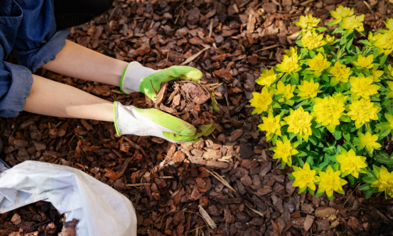 Bark vs Wood Chips: Which Is Better for Landscaping?
