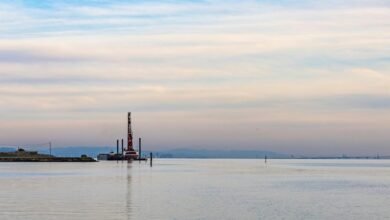 digital expansion platform 693118036