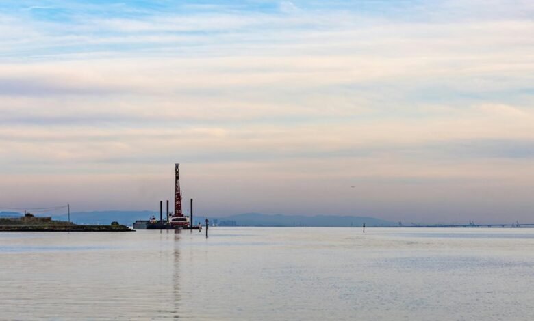 digital expansion platform 693118036