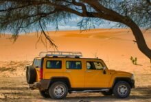 expansion model 613977373 online