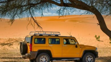 expansion model 613977373 online