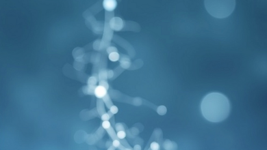 The Selank Ledger: What a Supervised Program Buys That a Vial Alone Doesn't