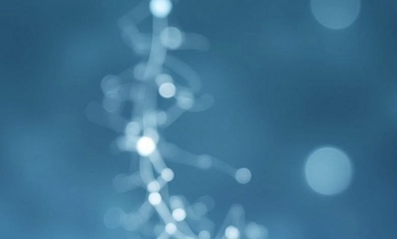 The Selank Ledger: What a Supervised Program Buys That a Vial Alone Doesn't